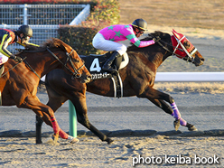 カラープリント(アルミ枠なし)2015年12月19日中京12R 大須特別(ラインシュナイダー)