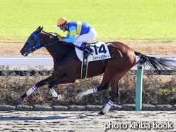 カラープリント(アルミ枠付き)2015年12月19日中山2R 2歳未勝利(スイートメロディー)