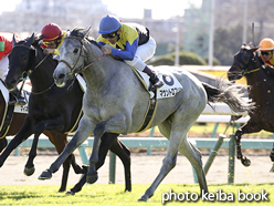 カラープリント(アルミ枠付き)2015年12月19日中山4R 2歳未勝利(マウントロブソン)