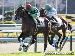 カラープリント(アルミ枠なし)2015年12月19日中山5R 2歳新馬(アースコレクション)