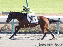 カラーパネル2015年12月19日中山7R 3歳上500万下(サトノセレリティ)