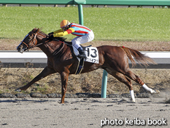 カラープリント(アルミ枠なし)2015年12月19日中山8R 3歳上1000万下(ヨウライフク)