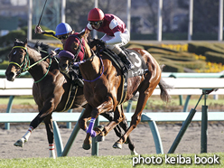 カラーパネル2015年12月19日中山9R ひいらぎ賞(ドーヴァー)