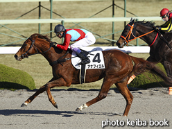 カラーパネル2015年12月20日阪神1R 2歳未勝利(アナフィエル)