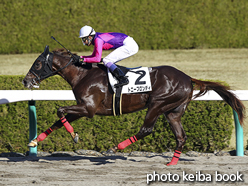 カラーパネル2015年12月20日阪神2R 2歳未勝利(トニーブロンディ)