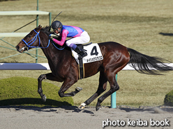 カラーパネル2015年12月20日阪神3R 2歳未勝利(メイショウミラコロ)