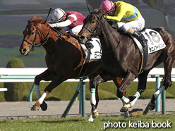 カラープリント(アルミ枠なし)2015年12月20日阪神4R 2歳未勝利(ロードスター)