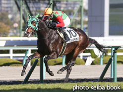 カラープリント(アルミ枠付き)2015年12月20日阪神6R 2歳500万下(シゲルノコギリザメ)