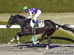 カラープリント(アルミ枠なし)2015年12月20日阪神7R 3歳上500万下(サンライズアルブル)