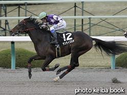 カラーパネル2015年12月20日阪神12R クリスマスキャロル賞(サンライズネオ)