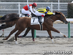 カラーパネル2015年12月20日中京6R 3歳上500万下(オーサムレジェンド)