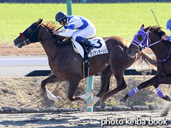 カラーパネル2015年12月20日中山2R 2歳未勝利(サンアンダーソン)