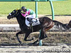 カラープリント(アルミ枠なし)2015年12月20日中山7R 3歳上500万下(ナスカザン)