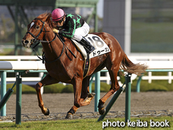 カラープリント(アルミ枠なし)2015年12月26日阪神3R 2歳未勝利(ドゥーカ)