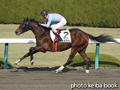 カラーパネル2015年12月26日阪神6R 2歳新馬(ナムラアラシ)