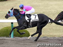 カラープリント(アルミ枠なし)2015年12月26日阪神8R 3歳上500万下(タムロミラクル)