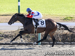 カラーパネル2015年12月26日中山1R 2歳未勝利(シェアード)