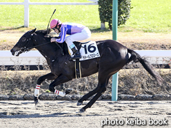 カラーパネル2015年12月26日中山2R 2歳未勝利(ラテールプロミーズ)