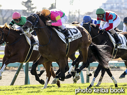 カラーパネル2015年12月26日中山3R 2歳未勝利(ローズクランス)