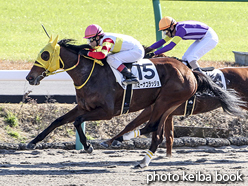 カラーパネル2015年12月26日中山4R 2歳新馬(パミーナコラッジョ)