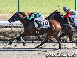 カラープリント(アルミ枠付き)2015年12月26日中山6R 2歳500万下(ビービーサレンダー)