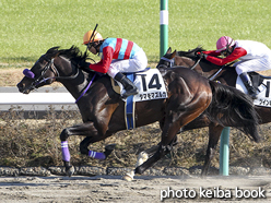 カラープリント(アルミ枠なし)2015年12月26日中山8R 3歳上1000万下(タマモマズルカ)