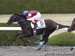 カラープリント(アルミ枠なし)2015年12月27日阪神4R 障害未勝利(ウインアーマー)