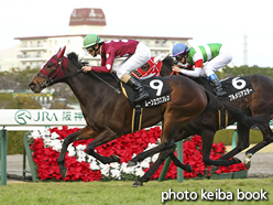 カラーパネル2015年12月27日阪神10R サンクフルハンデキャップ(ムーンエクスプレス)