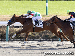 カラーパネル2015年12月27日中山2R 2歳新馬(マイティーゴールド)