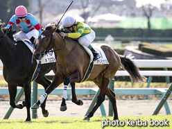 カラープリント(アルミ枠なし)2015年12月27日中山3R 2歳未勝利(マヤノピナクル)