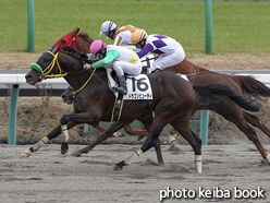 カラープリント(アルミ枠なし)2015年12月27日中山5R 3歳上500万下(ドラゴンビューティ)