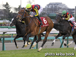 カラープリント(アルミ枠なし)2015年12月27日中山9R ホープフルステークス(ハートレー)