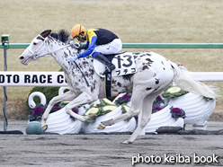 カラープリント(アルミ枠なし)2016年1月5日京都8R 4歳上1000万下(ブチコ)