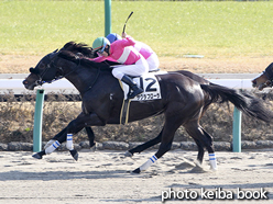 カラープリント(アルミ枠なし)2016年1月5日中山3R 4歳上500万下(サクラフローラ)