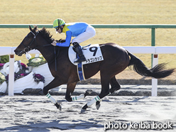 カラープリント(アルミ枠付き)2016年1月9日京都2R 3歳新馬(ドラゴンカップ)