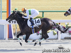 カラーパネル2016年1月9日京都6R 4歳上500万下(ノーザンバローズ)