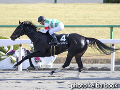 カラープリント(アルミ枠なし)2016年1月9日京都9R 舞鶴特別(ティンバレス)