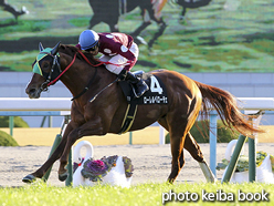 カラープリント(アルミ枠なし)2016年1月9日京都11R 淀短距離ステークス(ローレルベローチェ)