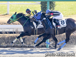 カラープリント(アルミ枠付き)2016年1月9日中山1R 3歳未勝利(ルグランシェクル)