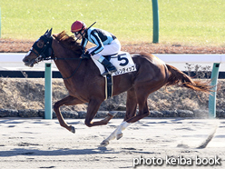 カラーパネル2016年1月9日中山2R 3歳未勝利(セレンディップ)