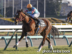 カラーパネル2016年1月9日中山10R 迎春ステークス(ヤマニンボワラクテ)