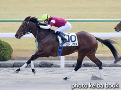 カラーパネル2016年1月10日京都4R 3歳新馬(ストリクス)
