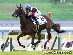 カラープリント(アルミ枠付き)2016年1月10日京都5R 3歳未勝利(エミーズレシピ)