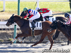 カラープリント(アルミ枠なし)2016年1月10日中山1R 3歳未勝利(ハイデンガールズ)