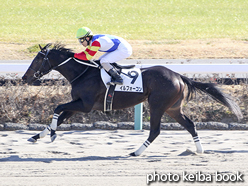 カラーパネル2016年1月10日中山3R 3歳未勝利(イルフォーコン)