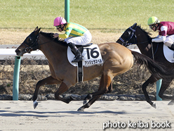 カラープリント(アルミ枠なし)2016年1月10日中山7R 4歳上500万下(アンジェラスベル)