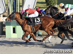 カラーパネル2016年1月10日中山10R 招福ステークス(マイネルバウンス)