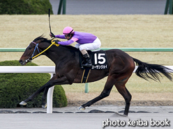 カラープリント(アルミ枠付き)2016年1月11日京都11R 大和ステークス(スーサンジョイ)