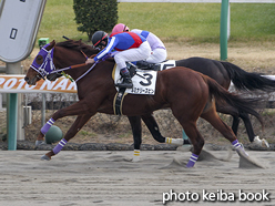 カラープリント(アルミ枠なし)2016年1月11日中山2R 3歳未勝利(ルミナリースピン)