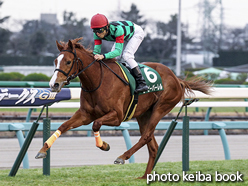 カラープリント(アルミ枠付き)2016年1月11日中山11R フェアリーステークス(ビービーバーレル)